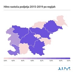 Hitro rastoča podjetja v obdobju 2015 - 2019