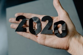 Leto 2020 v številkah