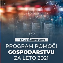 Priprava programa pomoči gospodarstvu za leto 2021, posebna pozornost namenjena zagotavljanju likvidnosti podjetij