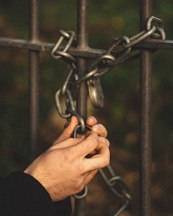 Posvetovanje o obdobju neškodljivega razkritja, pravici poprejšnje uporabe in nasprotujočih si prijavah