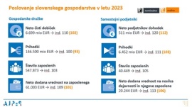 Poslovanje gospodarskih družb v letu 2023