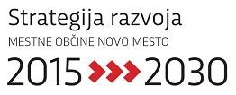 Strategija razvoja Mestne občine Novo mesto do leta 2030