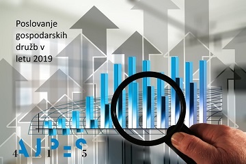 Poslovanje gospodarskih družb v letu 2019