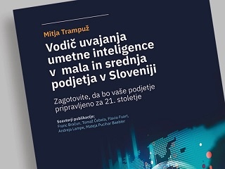 Vodič uvajanja umetne inteligence v mala in srednja podjetja v Sloveniji